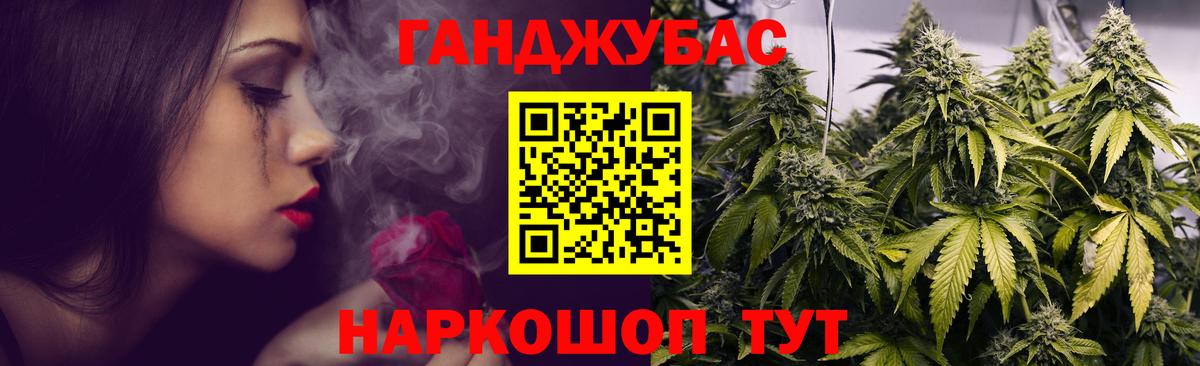 МАРИХУАНА план Сальск
